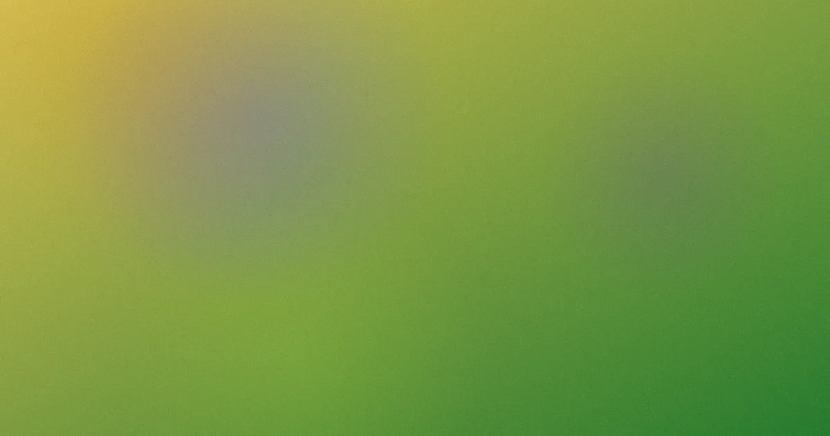 毛家超值得吗？四步判断信息价值